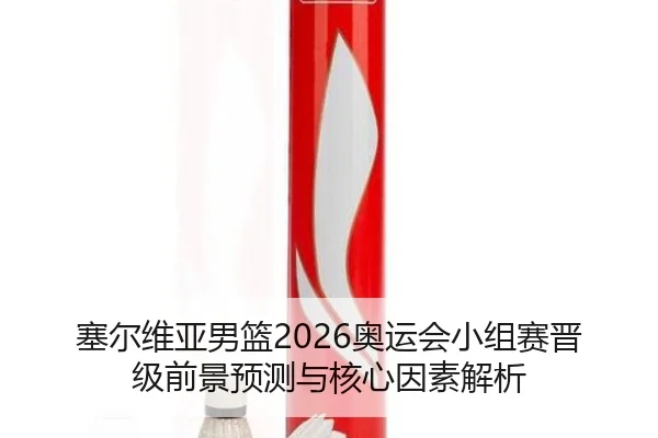 塞尔维亚男篮2026奥运会小组赛晋级前景预测与核心因素解析